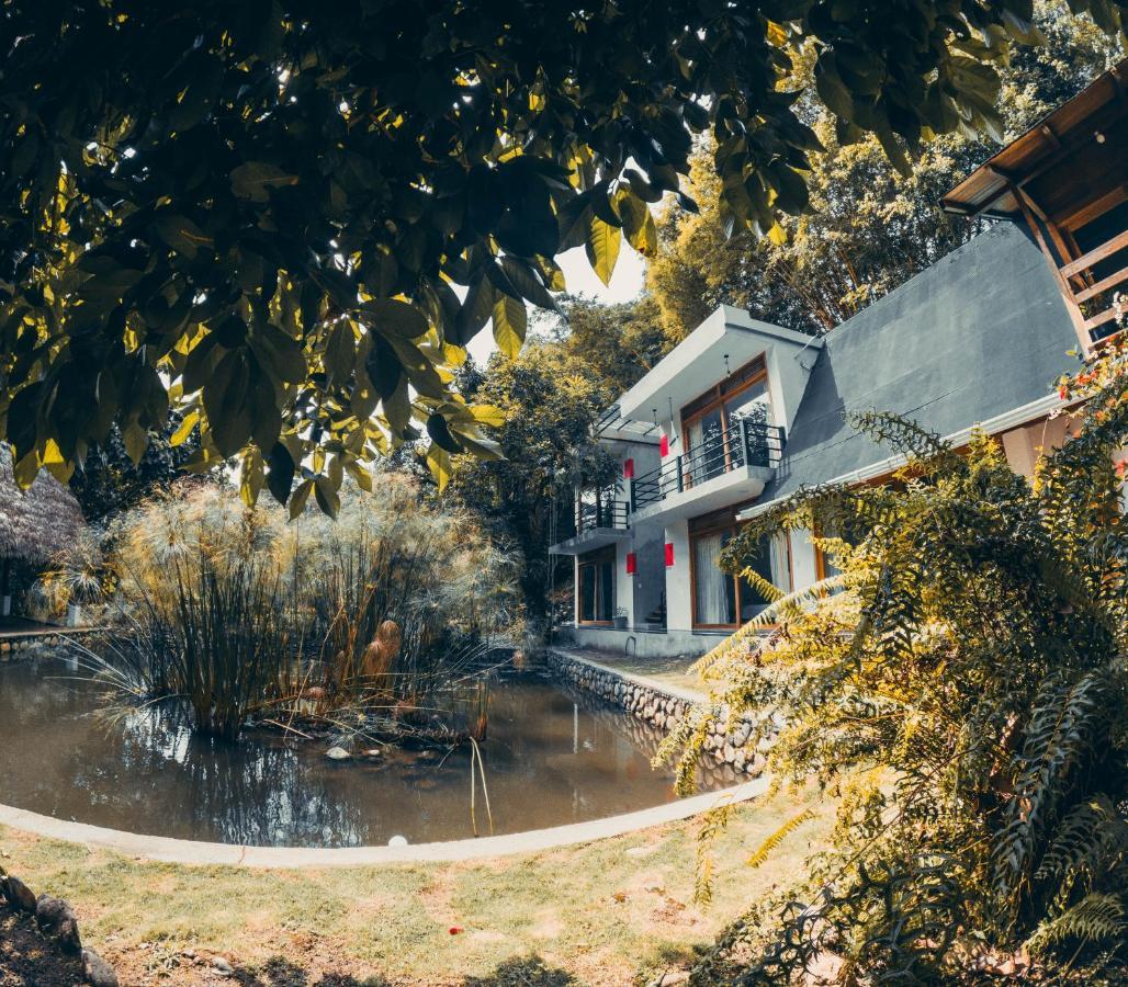 Tagua Lodge テナ エクステリア 写真