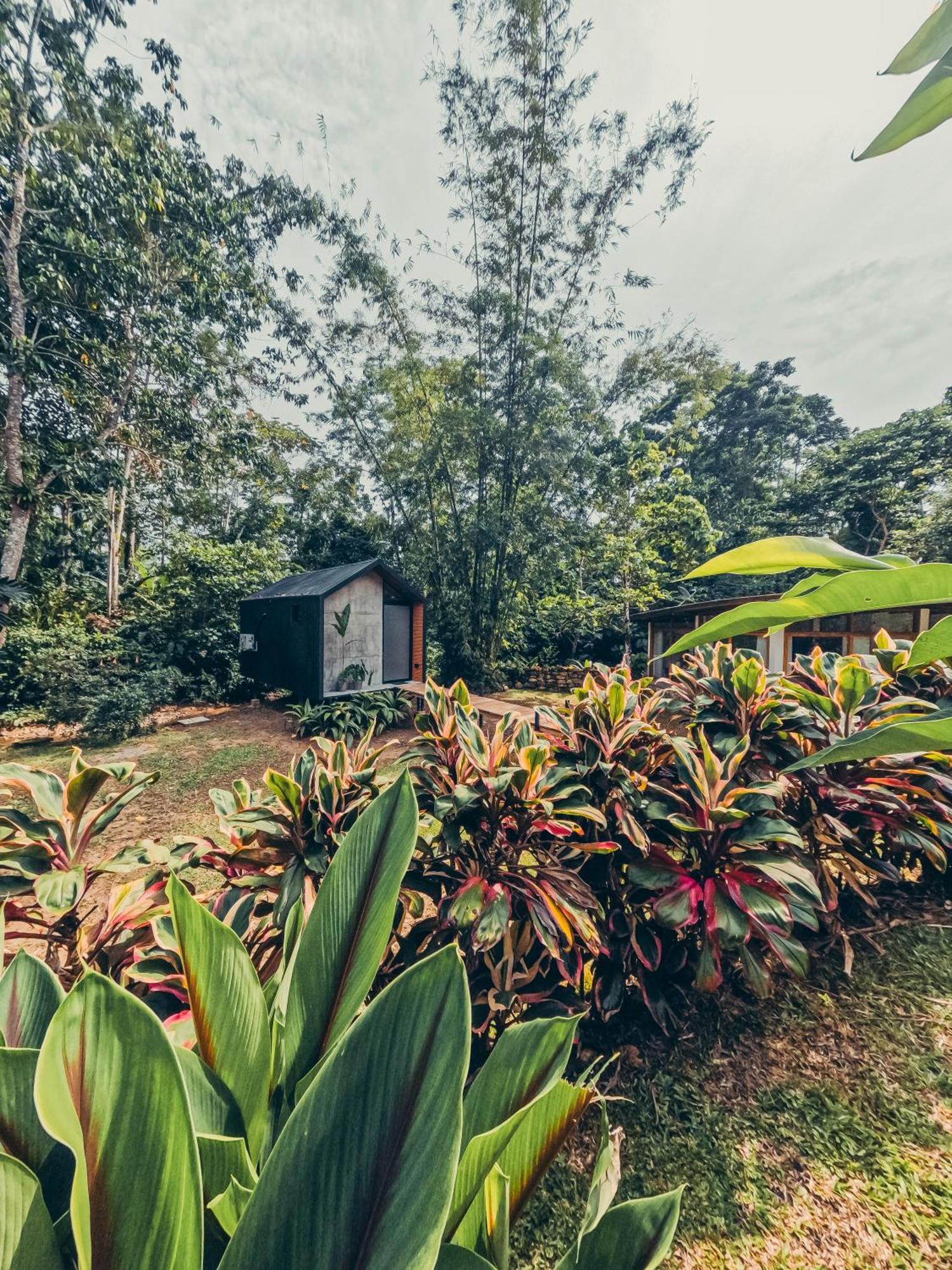 Tagua Lodge テナ エクステリア 写真